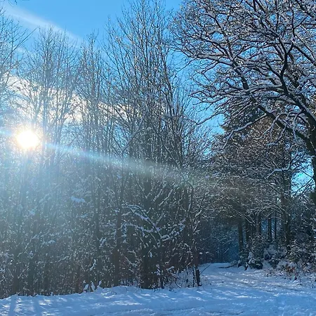 Glueckshuuske Sauerland