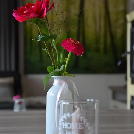 Glueckshuuske Sauerland Holiday home Meschede