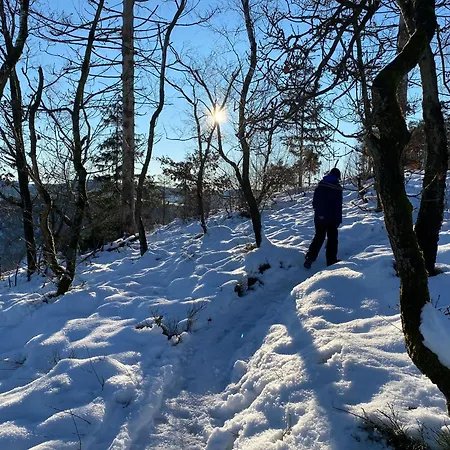 Glueckshuuske Sauerland Σπίτι διακοπών Meschede