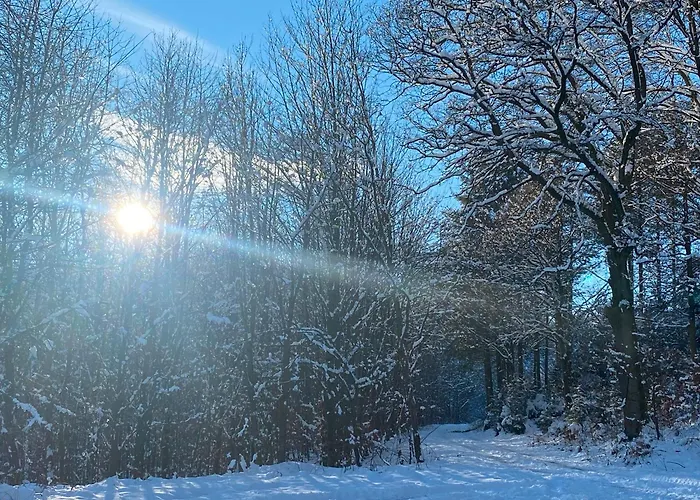 Glückshuuske Sauerland