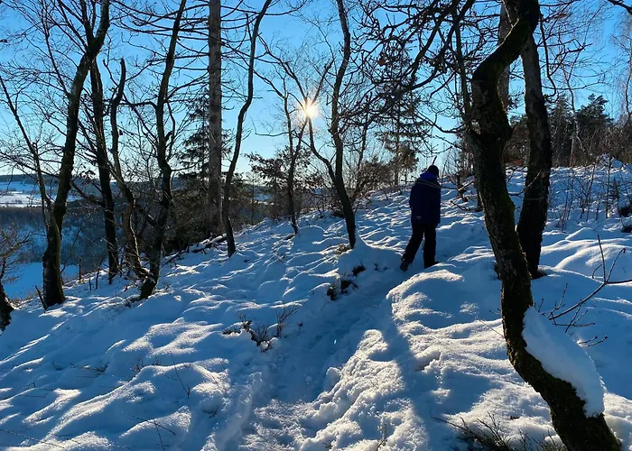 Glückshuuske Sauerland Сasa de vacaciones *